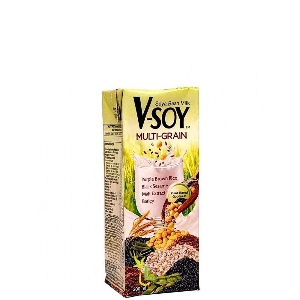 V-SOY MILK MULTIGRAIN 200ml