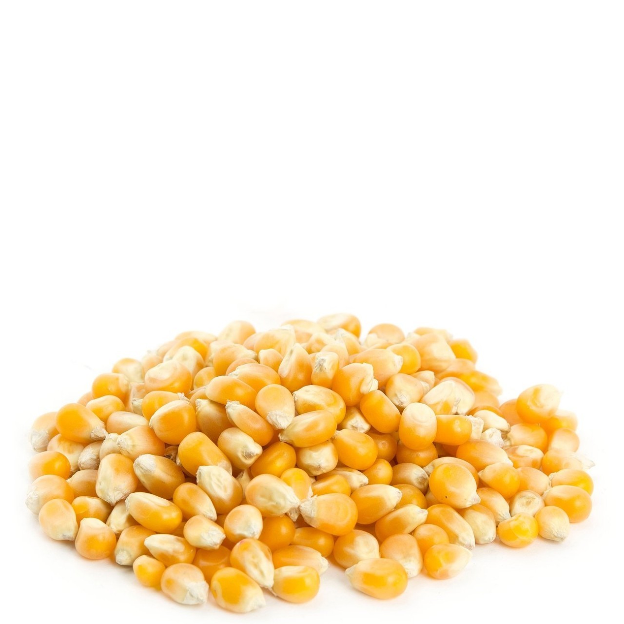 HOMINY CORN BULK vwt