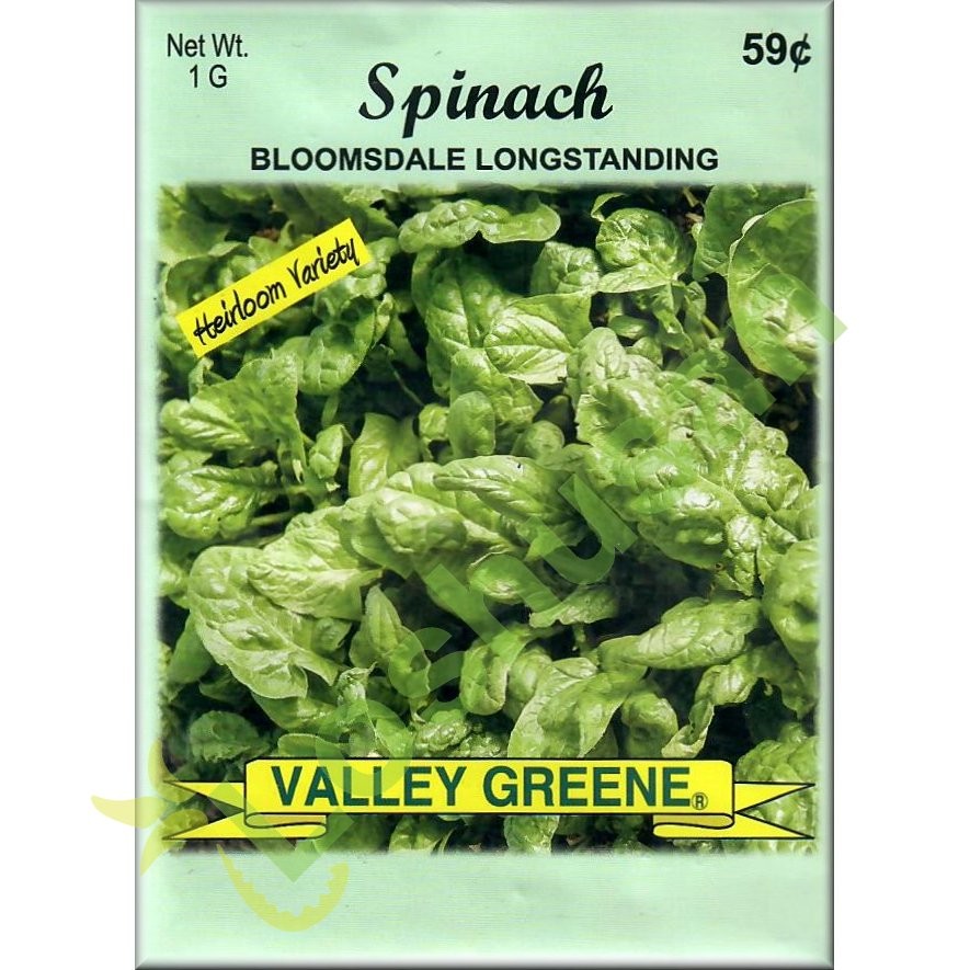 VALLEY GREENE SEEDS SPINACH 1g