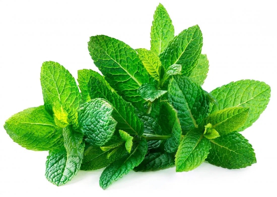 QUALITY HARVEST SPEARMINT 25g