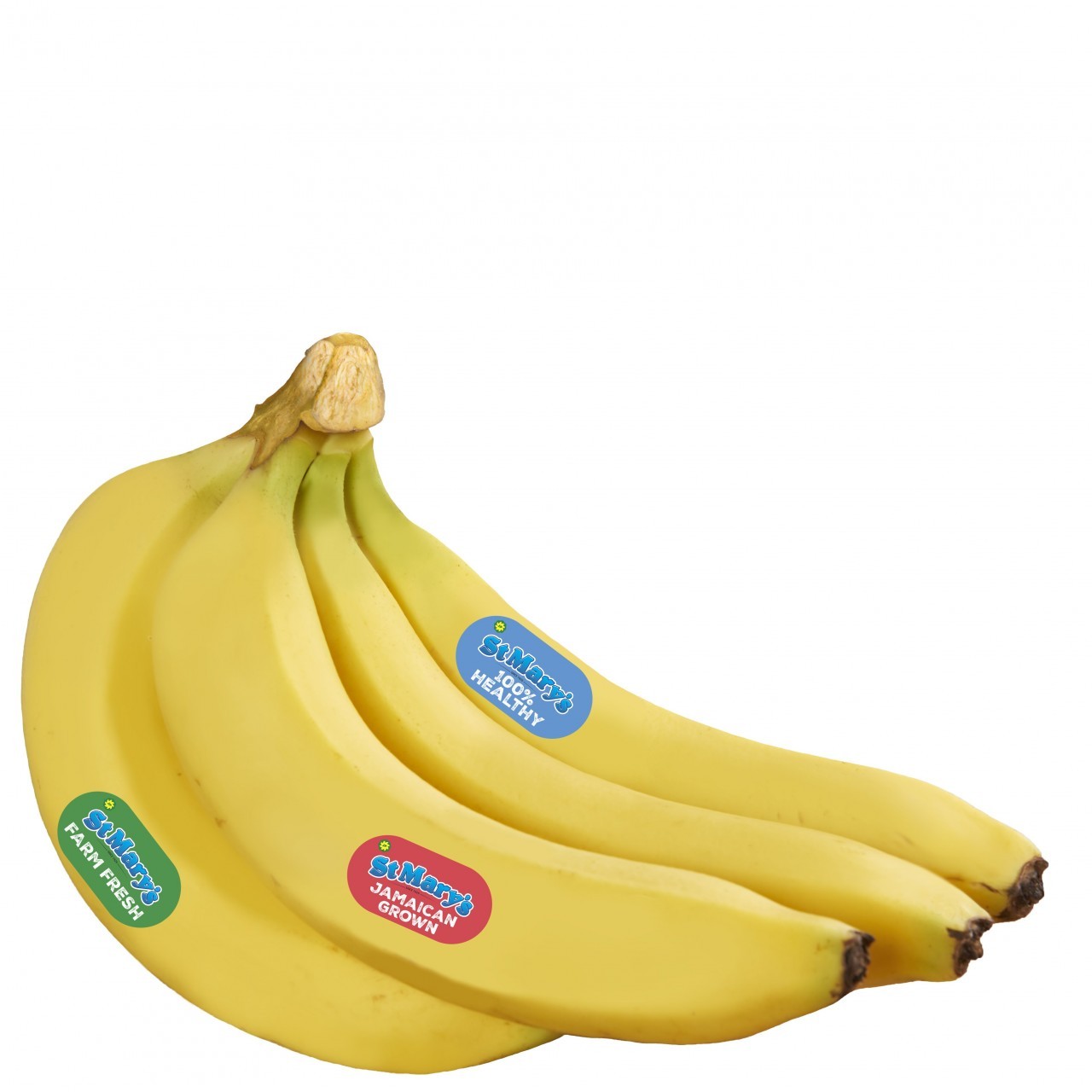 BANANAS RIPE vwt