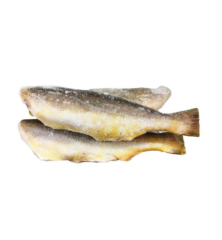 BANGA MARY FISH KG