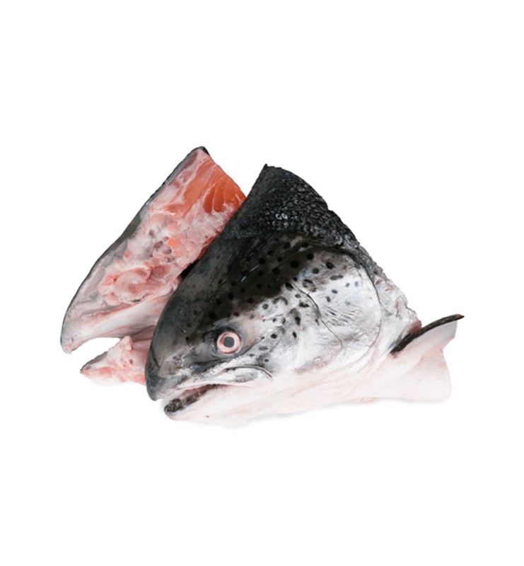 FISH HEAD KG