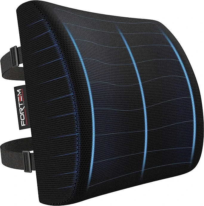 FORTEM Lumbar Support Office Chair, Lumbar Support Pillow for Car, Office Chair