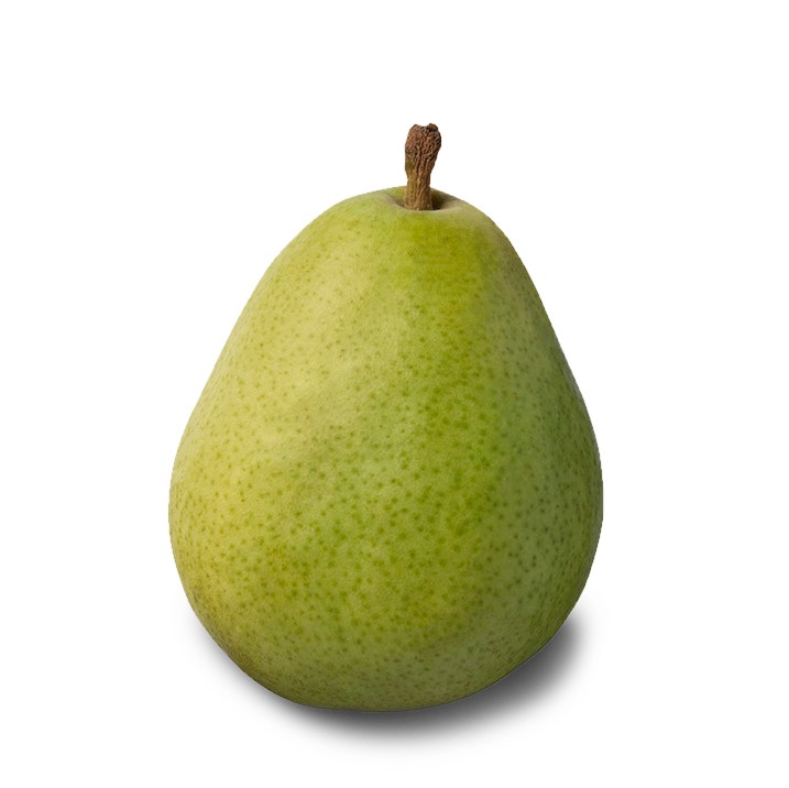 PEARS ANJOU vwt