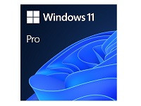 Windows 11 Pro - License - 1 license