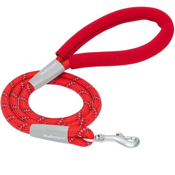 Blueberry Pet Neoprene Handle Rope Leash in Diagonal Stripe, 4 ft - Re