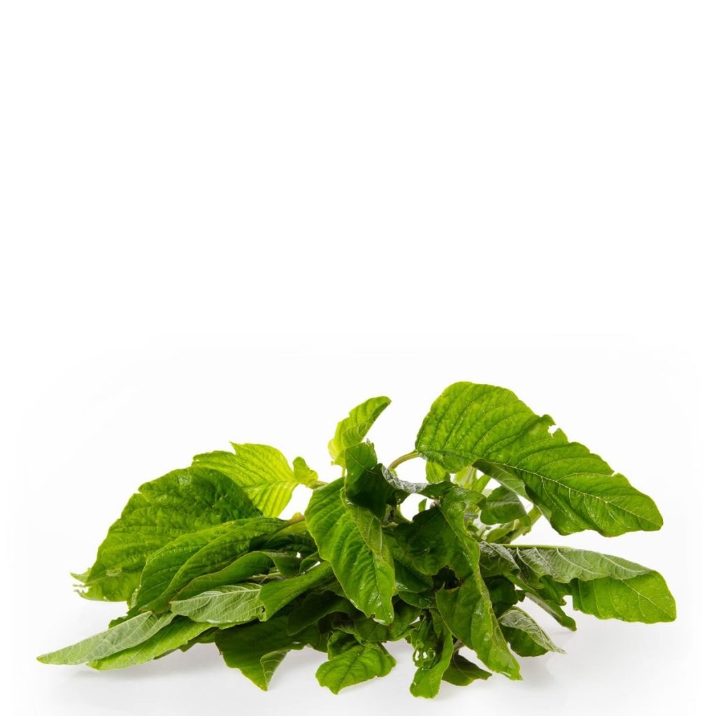 CALLALOO vwt