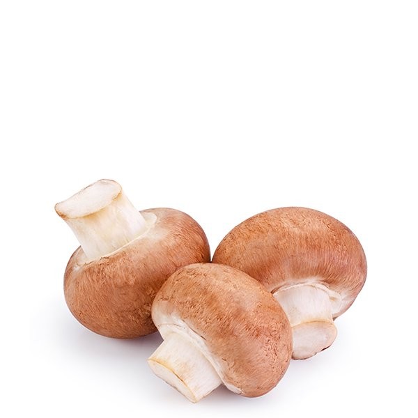 MUSHROOMS CRIMINI vwt