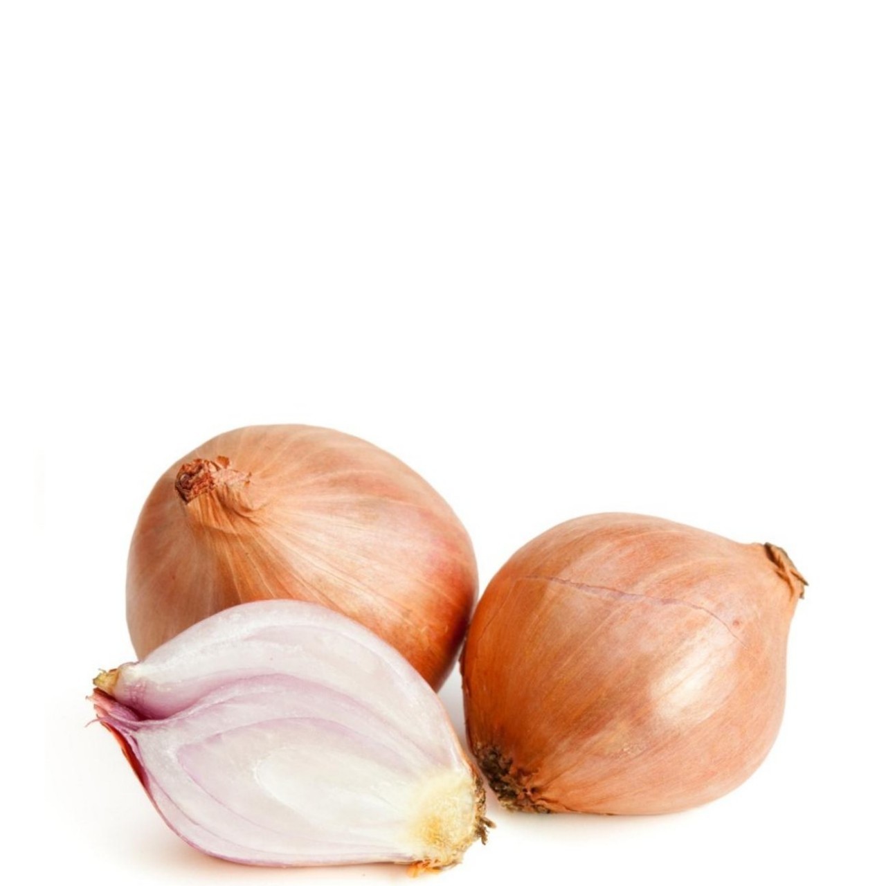 SHALLOTS IMP vwt