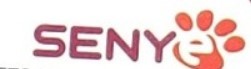 Senye