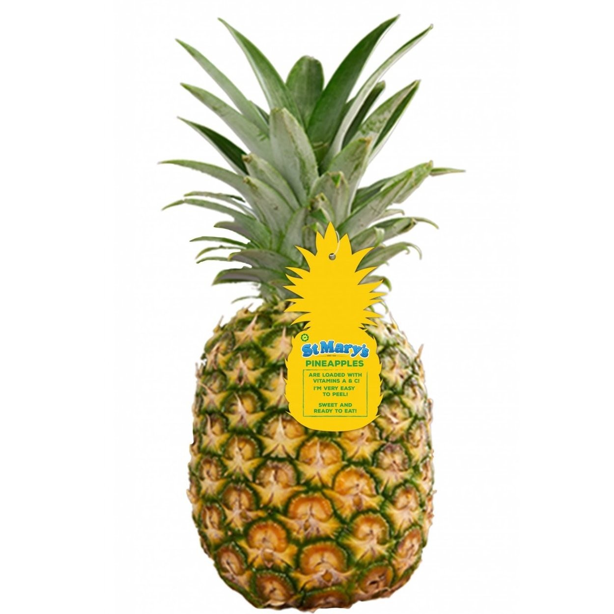 PINEAPPLE ST MARY vwt