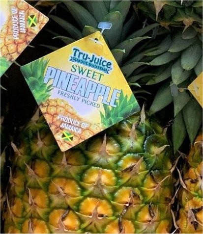 PINEAPPLE TRU-JUICE vwt